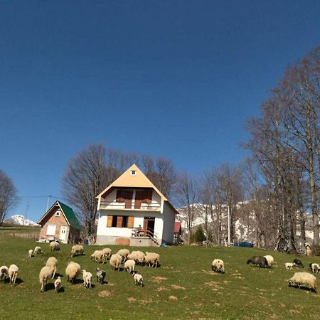 Kolibri Villa Žabljak Eksteriør bilde