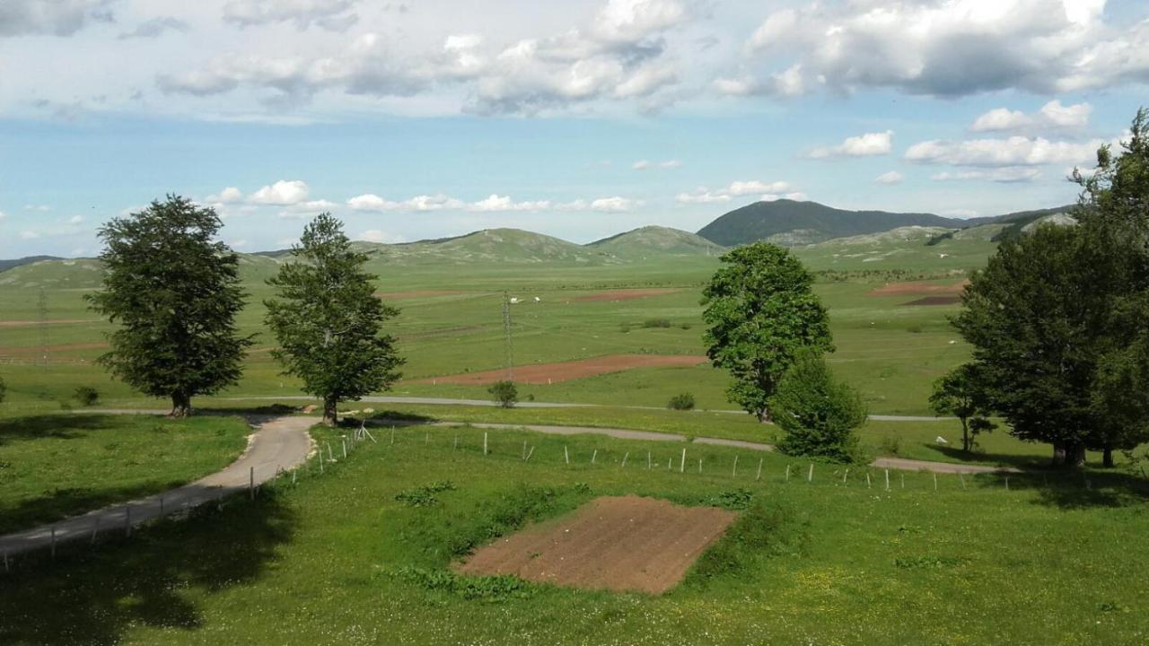 Kolibri Villa Žabljak Eksteriør bilde