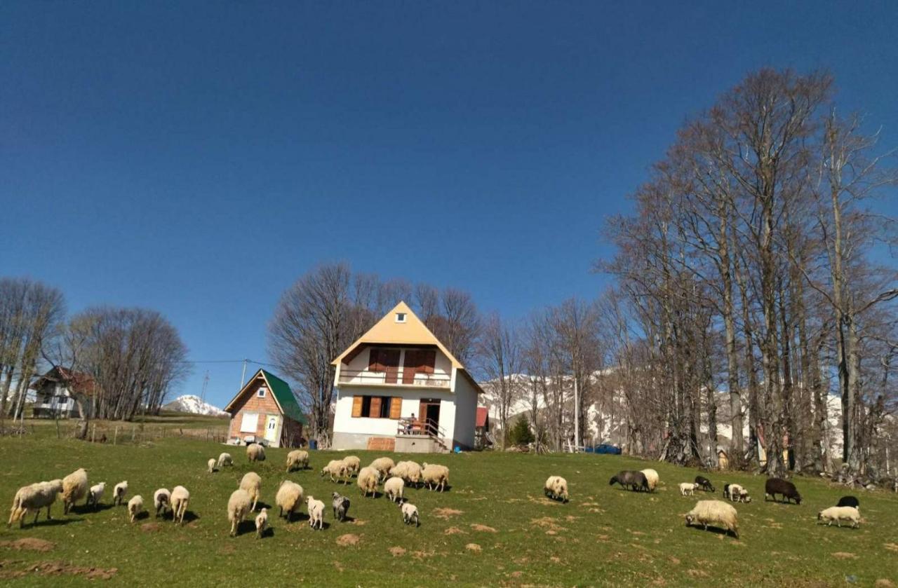 Kolibri Villa Žabljak Eksteriør bilde